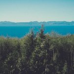 Smartphone Showdown: Flagship Comparison 2026