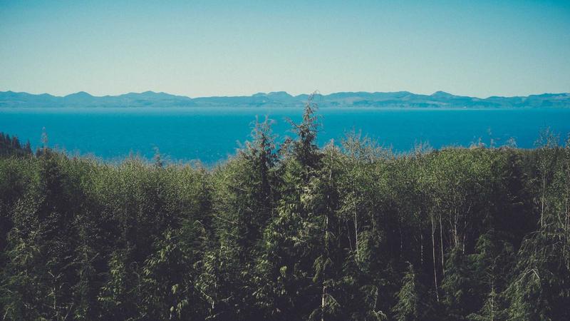 Smartphone Showdown: Flagship Comparison 2026